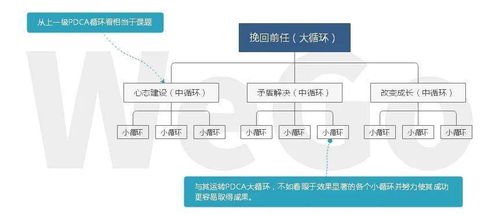 信息技术赋能情感咨询，构建高效专业服务体系